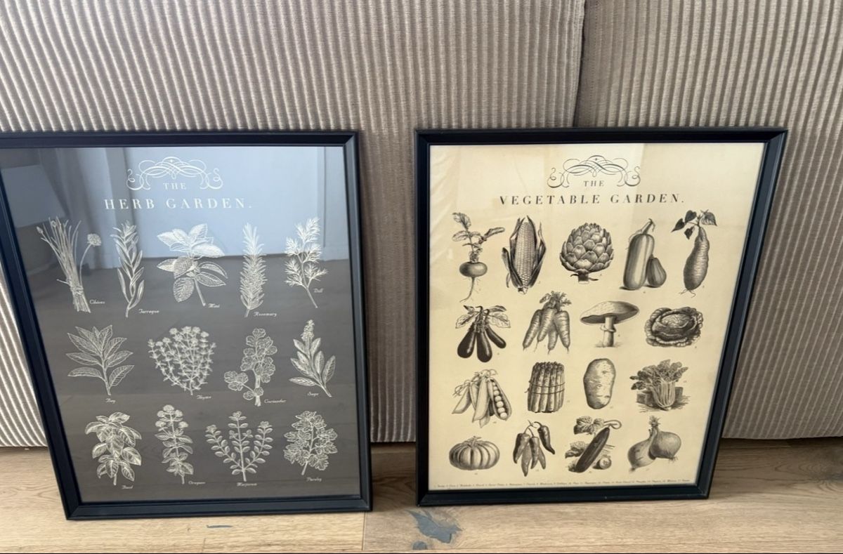 Bilderrahmen: KNOPPÄNG Frame with poster 40x50cm – Gebraucht aus Eglisau von ten_8s6q