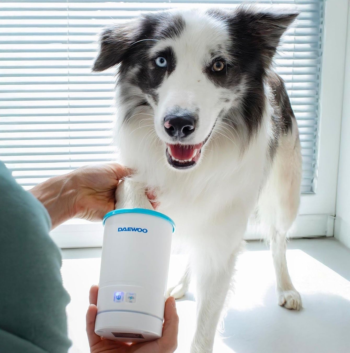 Dispositivi per massaggi: Daewoo Automatic Paw Cleaner + Massager – Nuovo e nell'imballaggio originale da Hitzkirch venduto da Thali_AG 1