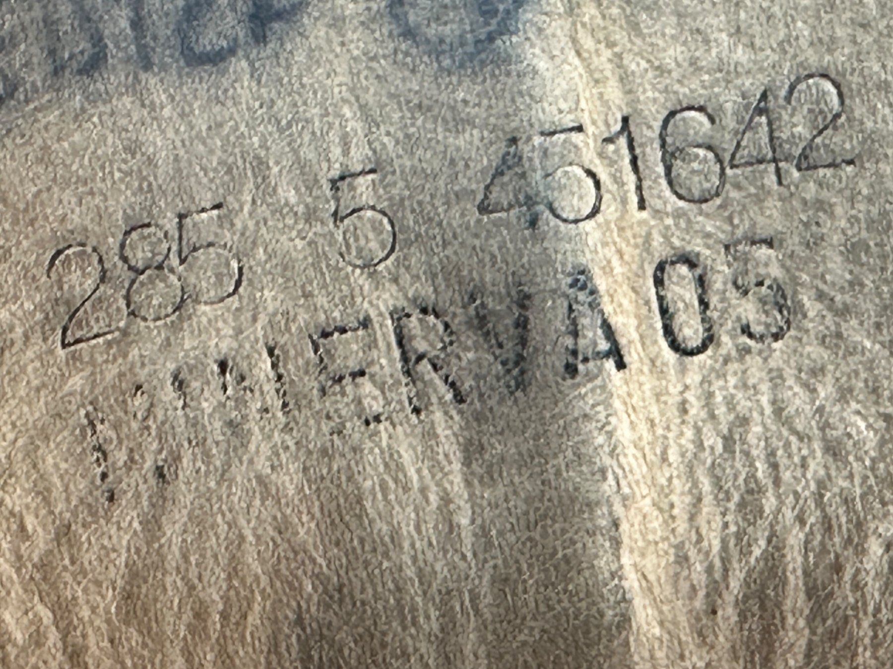 Minerva Scarpe da uomo: Bottes de combat Armée Suisse, Minerva. Pointure 43 / 285 – Usato da Morges venduto da vintix 1