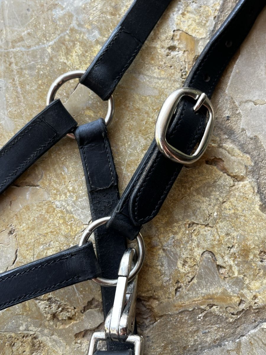 Felix Bühler Briglie & Cavezze: Licol cuir noir taille cob  – Usato da Le Landeron venduto da emm_q6yt 1