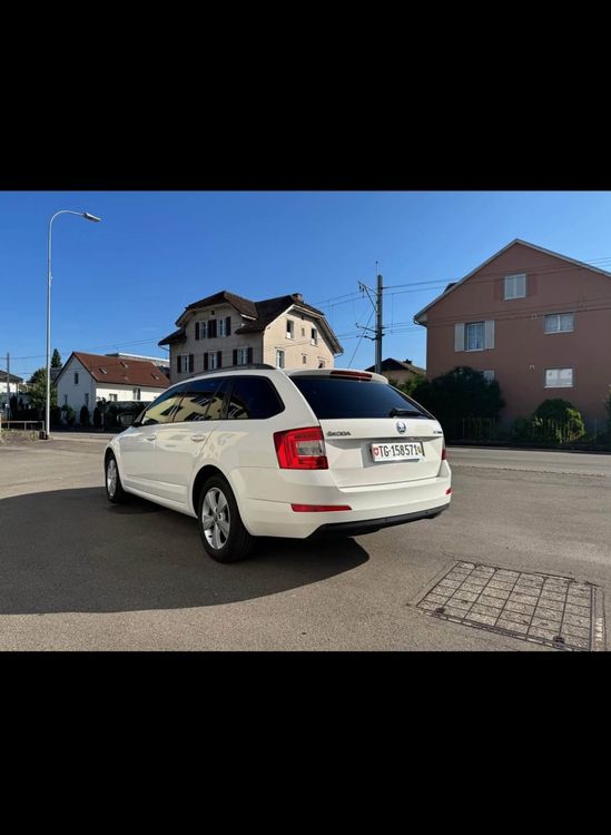 Skoda Automobili: Skoda Octavia 2.0 TDI DSG – Usato da Matzingen venduto da szr_57 3