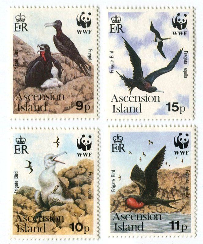 Tutti i francobolli: Briefmarken "Fregattvögel". Ascension – Usato da Basel venduto da Butsch5