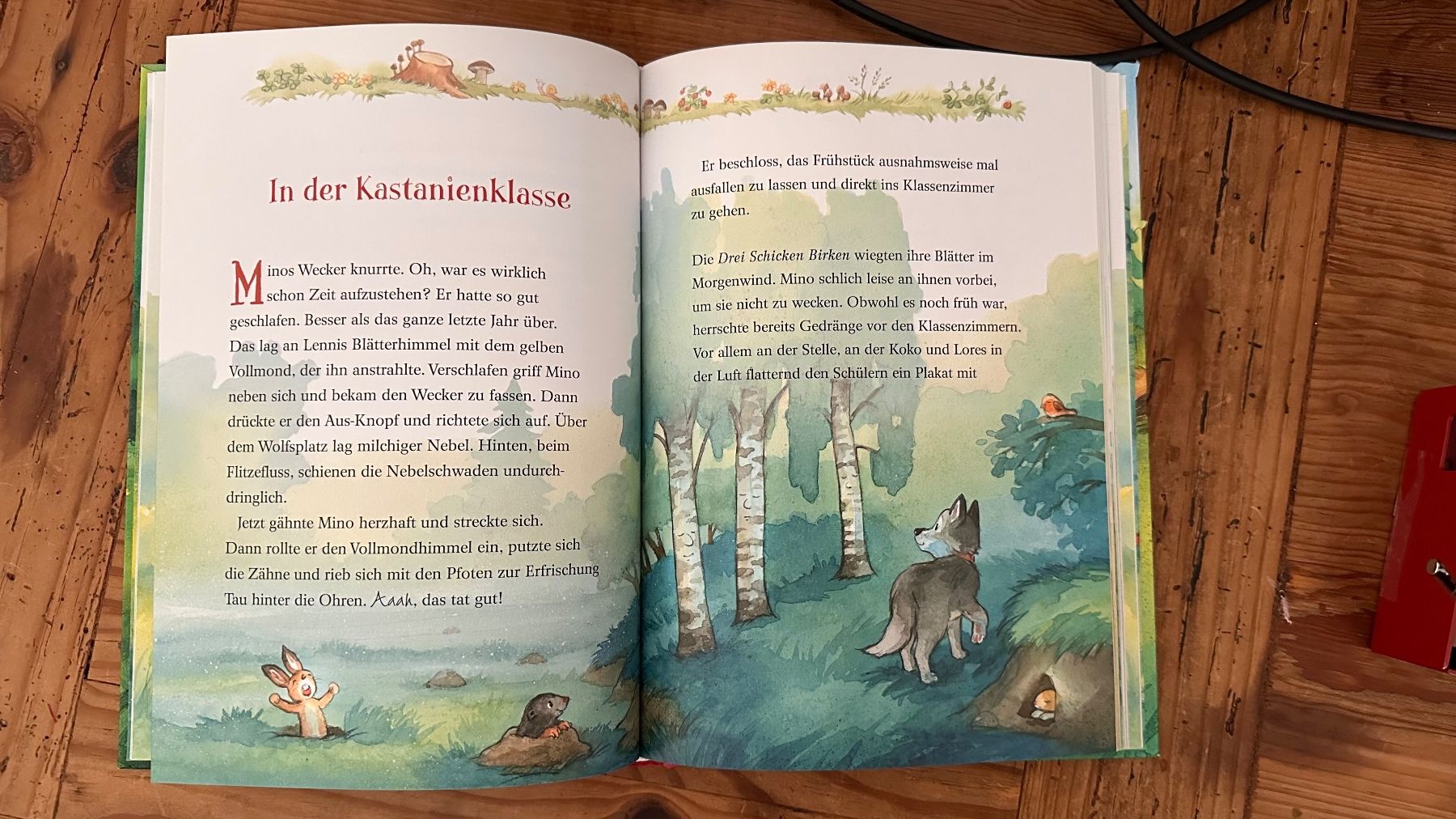 Bücher: Willkommen in der Waldschule, Top Zustand – Gebraucht aus Dübendorf von TojaRose 1