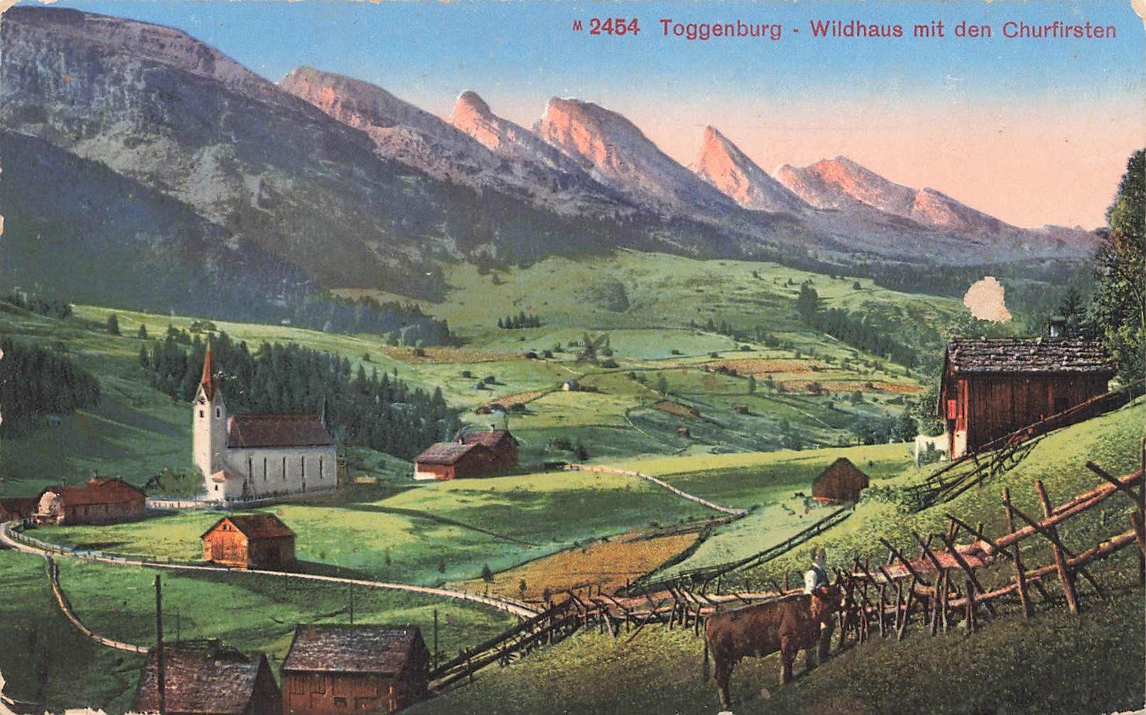 Cartoline postali: Toggenburg wildhaus mit den churfirsten – Usato da Biasca venduto da Blenio71
