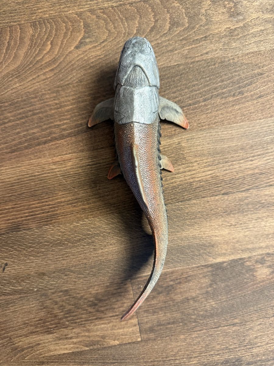 Schleich Spielzeuge: Dunkleosteus Dinosaurier Figur Schleich 14575 – Neu (gemäss Beschreibung) aus Zürich von oli_rbv6 2