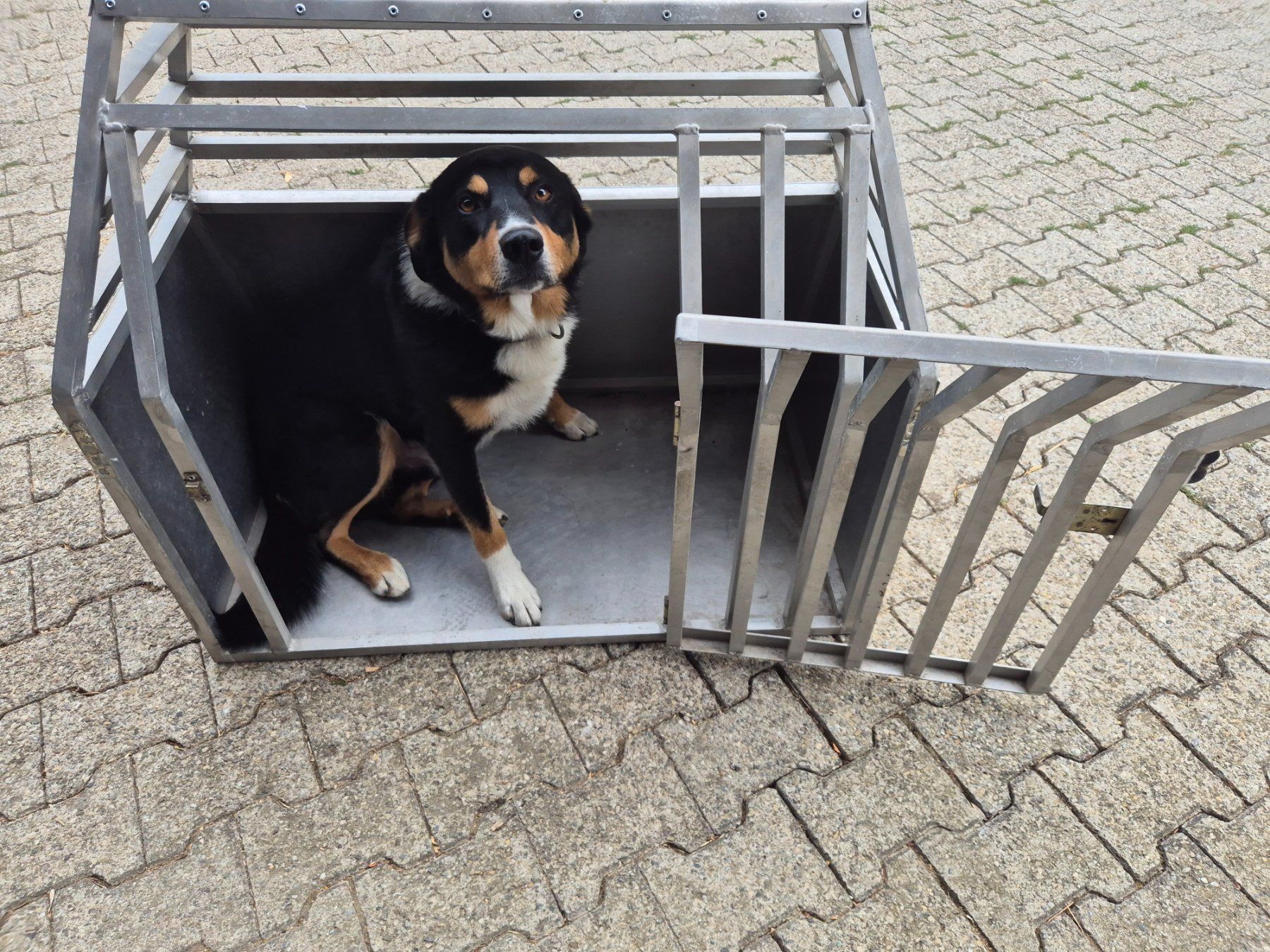 Cucce & Letti: Hundebox – Usato da Stein AR venduto da Bienli4