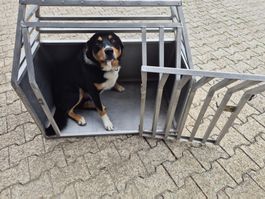 Hundebox