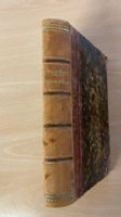 Odhin's Trost - nordischer historischer Roman - 1880