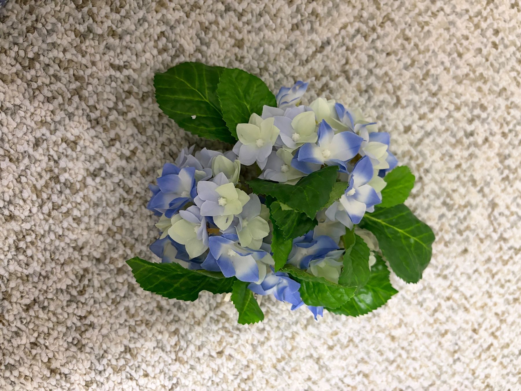 Alle Dekorationen: Kunst Blumen Set s Dekoration neu – Neu (gemäss Beschreibung) aus Hausen AG von Havs 2