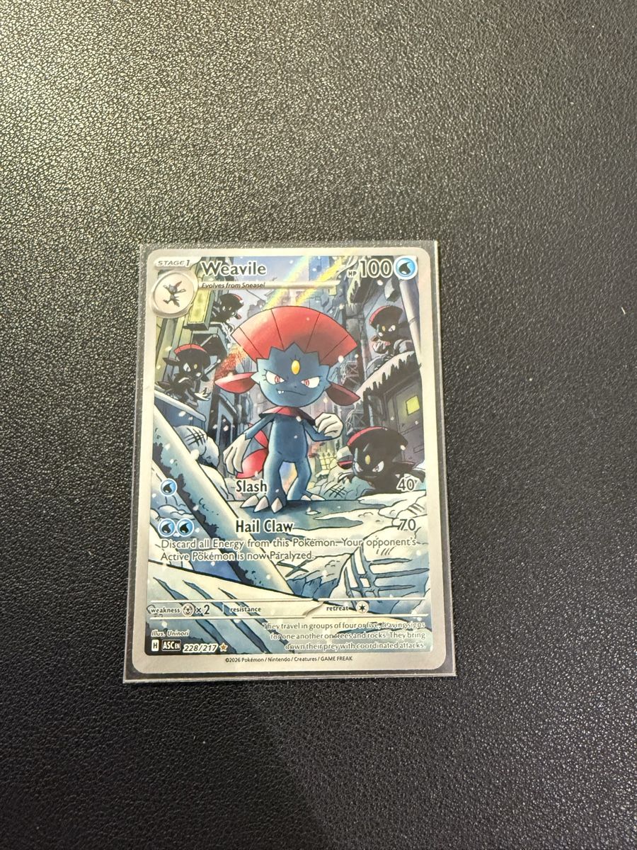 Pokémon Carte collezionabili: Pokemon - Weavile 228/217 - EN – Nuovo e nell'imballaggio originale da Rüti ZH venduto da rin_7yn7