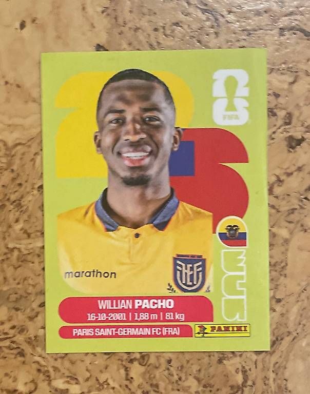 Cartes à collectionner: Fussball Sammelkarten  – D'occasion à Unterseen par Panini56 2