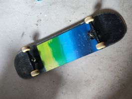 Skateboard Rollbrett