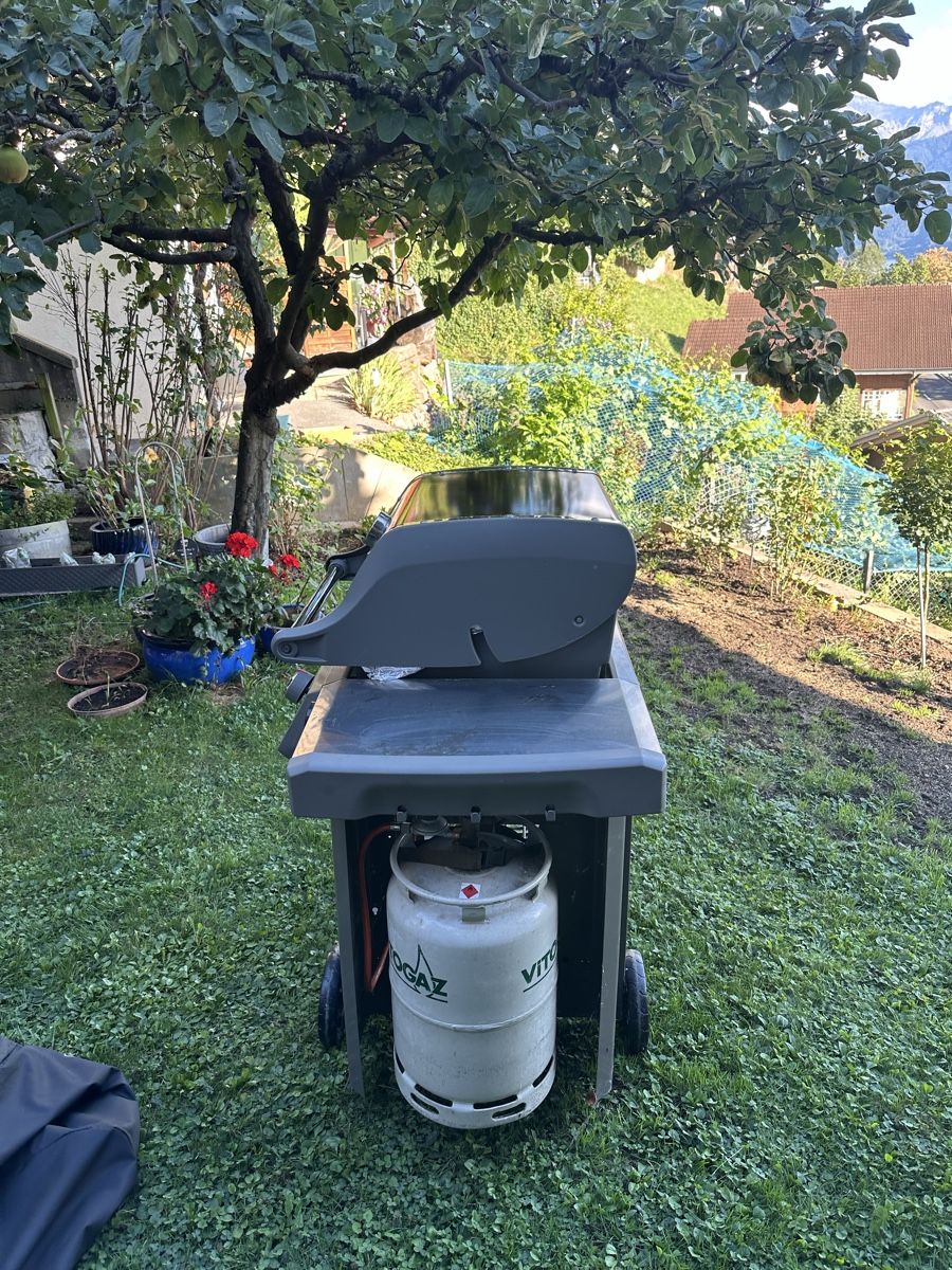 Griglie: Weber Genesis II E-210 Gasgrill wie neu – Usato da Interlaken venduto da StephanJJ66 2