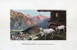 Interlaken - Alpenlandschaft