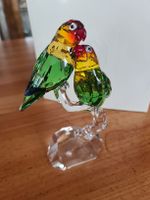 Swarovski Figur Unzertrennliche Papageien  neu und OVP