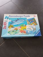 Puzzle - Ravensburger