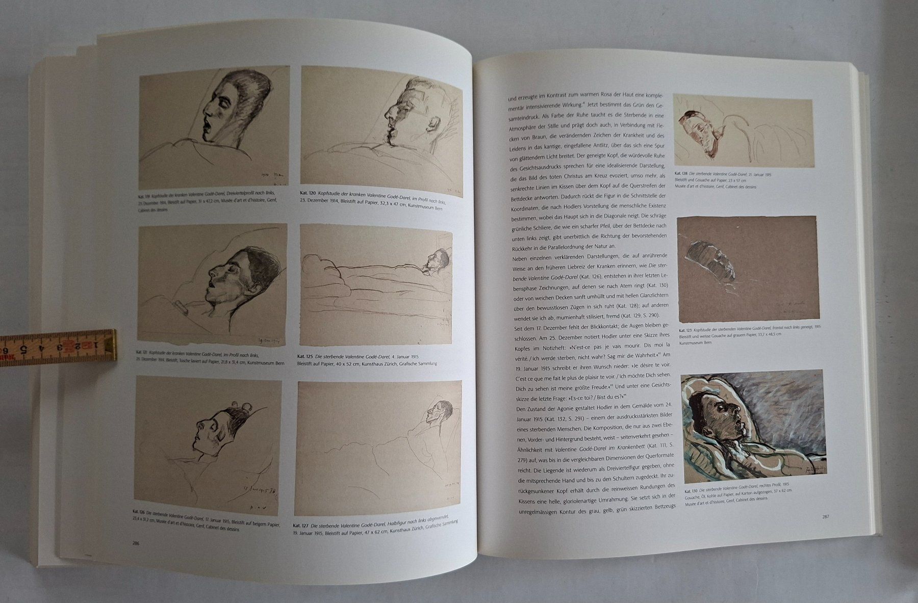 Bücher: Ferdinand Hodler Kunstbuch, selten, vergriffen – Gebraucht aus Opfikon von Diversamente 8