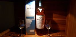 Macallan Quest Highland Single Malt Whisky 1 Liter 40%