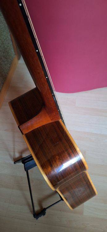 Washburn D60 SW Timber Ridge (1983) Vollmassiv (Japan) Kaufen auf