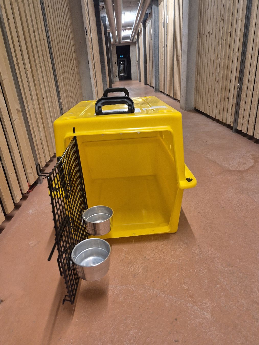 Gabbie, trasporto & Sicurezza: Transportbox Katze Hund IATA konform – Usato da Zürich venduto da sam_8st8