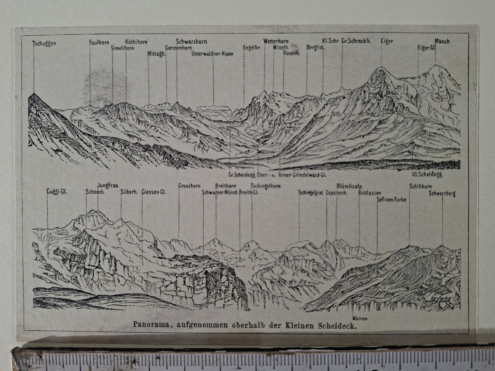 Incisioni: Lot 67, 10 Stiche  – Usato da Grindelwald venduto da carro5