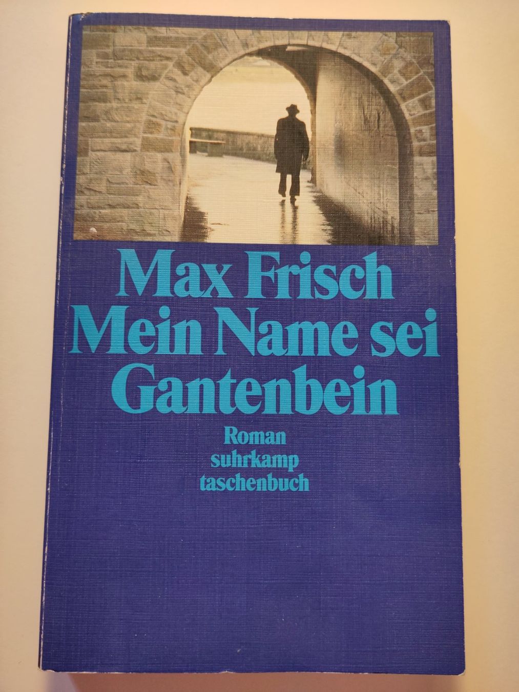 Libri: Mein Name sei Gantenbein - Max Frisch – Usato da Bülach venduto da Tiefschlaflos