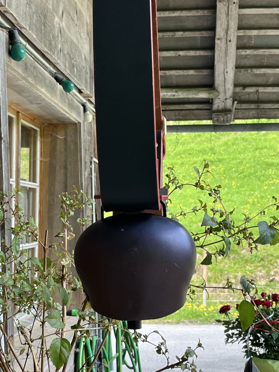 Campanacci mucche: Varrone Nr. 9 – Nuovo (secondo la descrizione) da Wasen im Emmental venduto da weh_qg2d 1