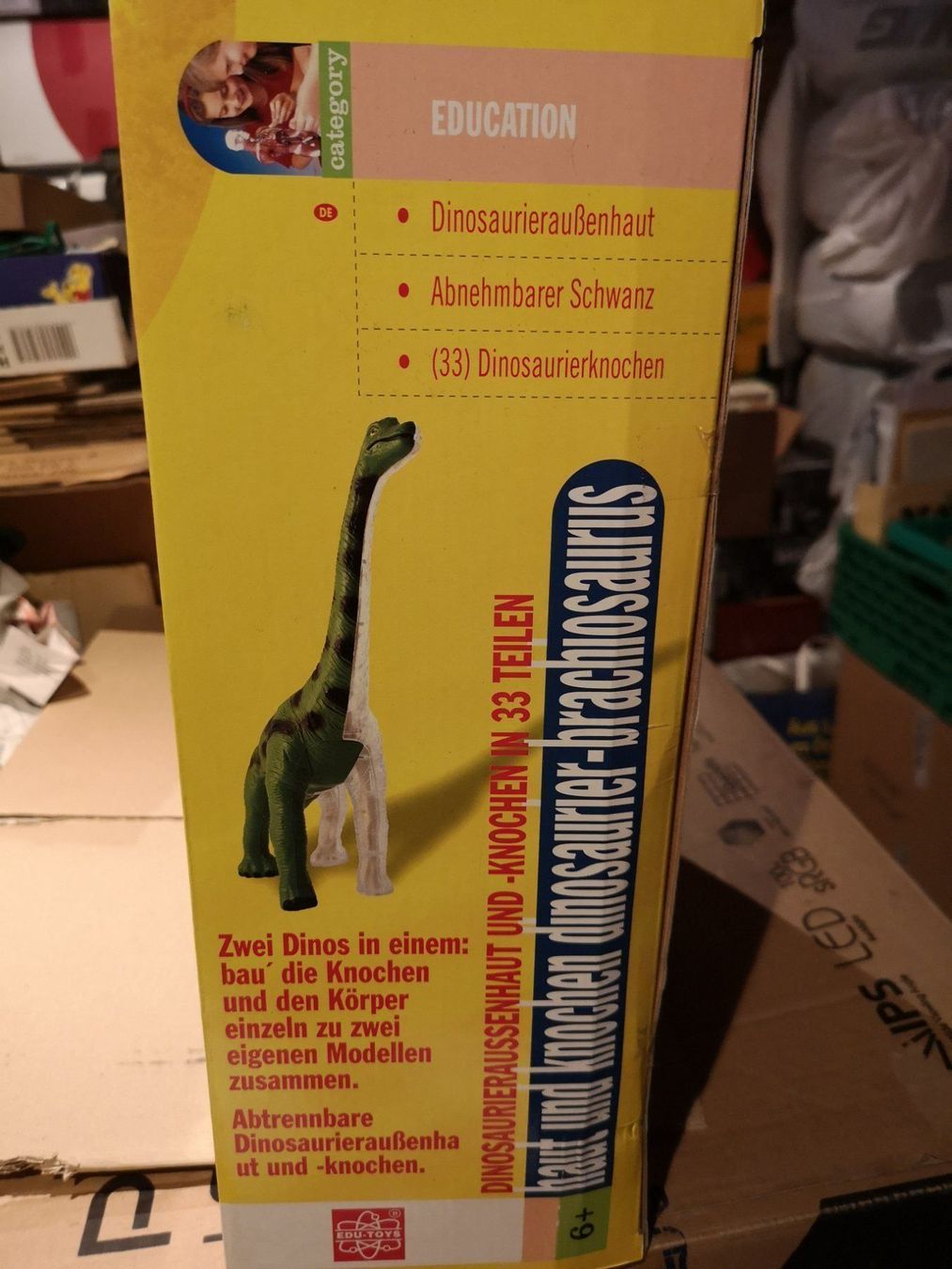 Giocattoli: Dinosaurier Large Skin 'n Bones Dinosaur Dino Brachio Saurus – Nuovo e nell'imballaggio originale da Kloten venduto da Euroasia 6