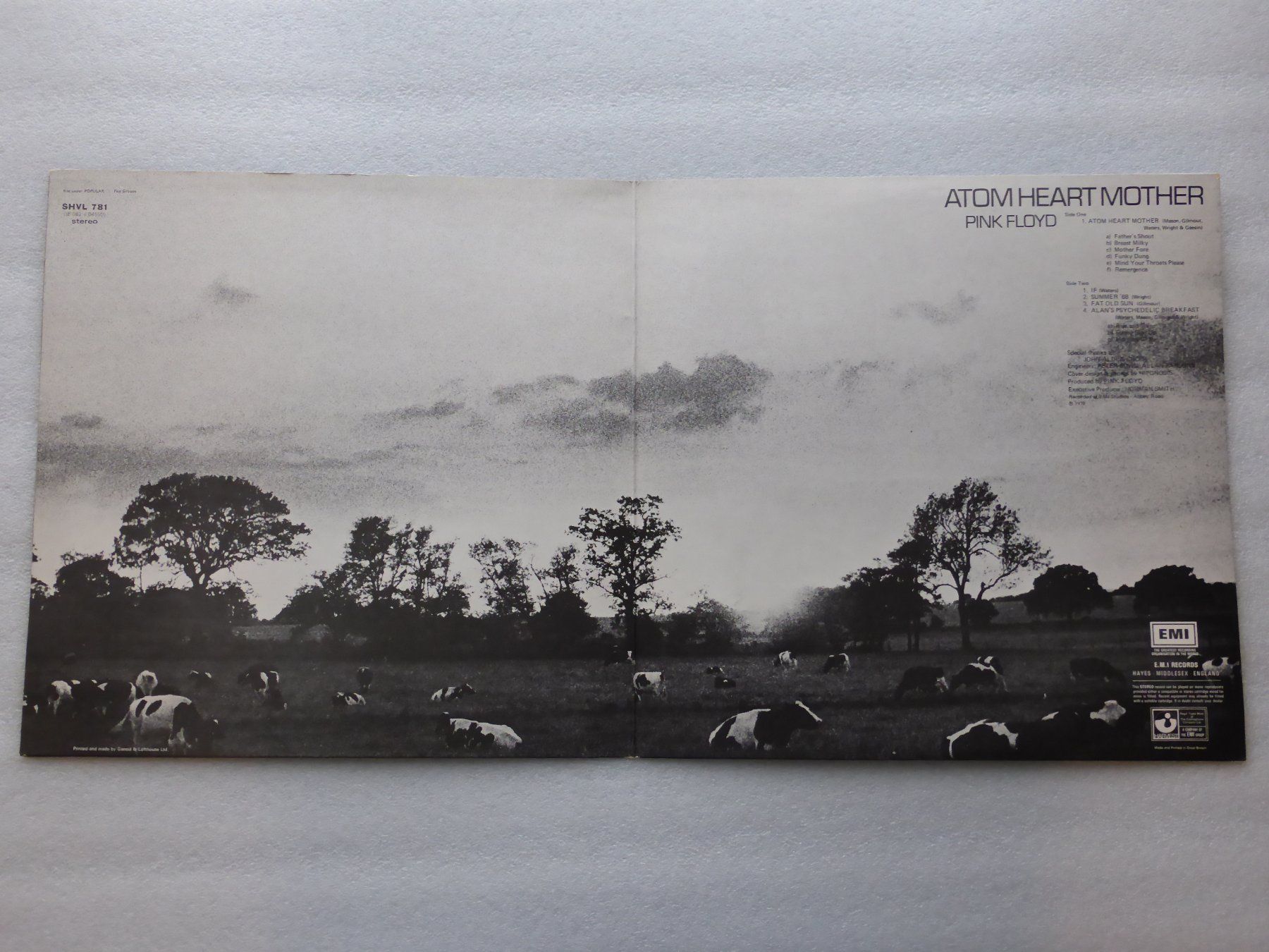 Dischi in vinile: VINYL  LP   PINK FLOYD – Usato da Küssnacht am Rigi venduto da Sunnestrahl 1