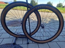 29 Zoll Duke Lucky Jack Carbon Laufradsatz