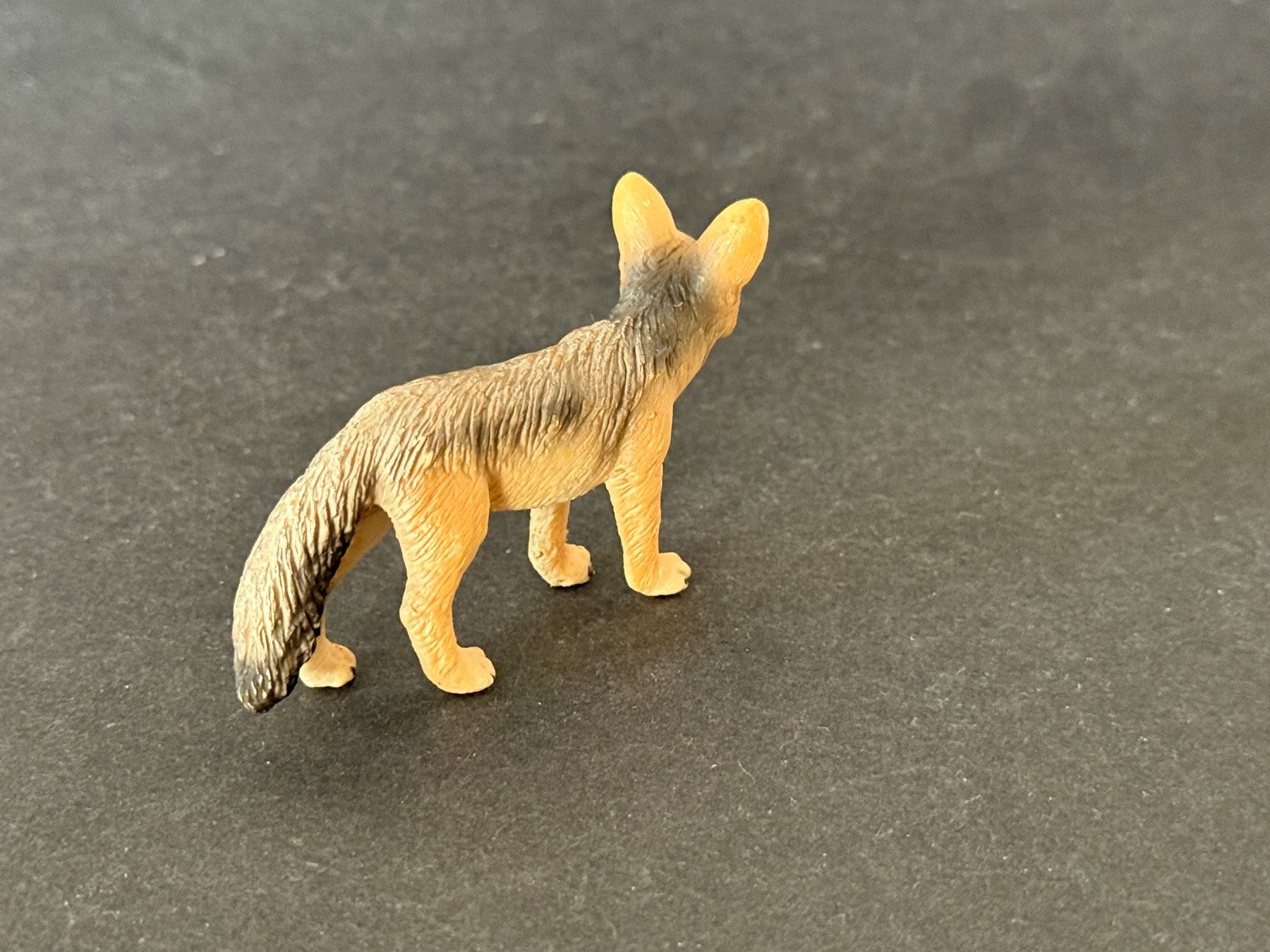 Schleich Statuette: Schleich - Schakal 14345 – Usato da Ennetbaden venduto da mapa05 5