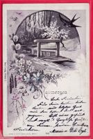 MAIMORGEN, 23.7.1901