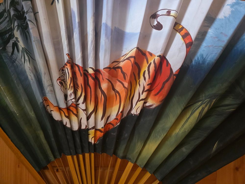 Tutte le decorazioni: Tiger Fächer – Usato da triesenberg venduto da wisi369 2