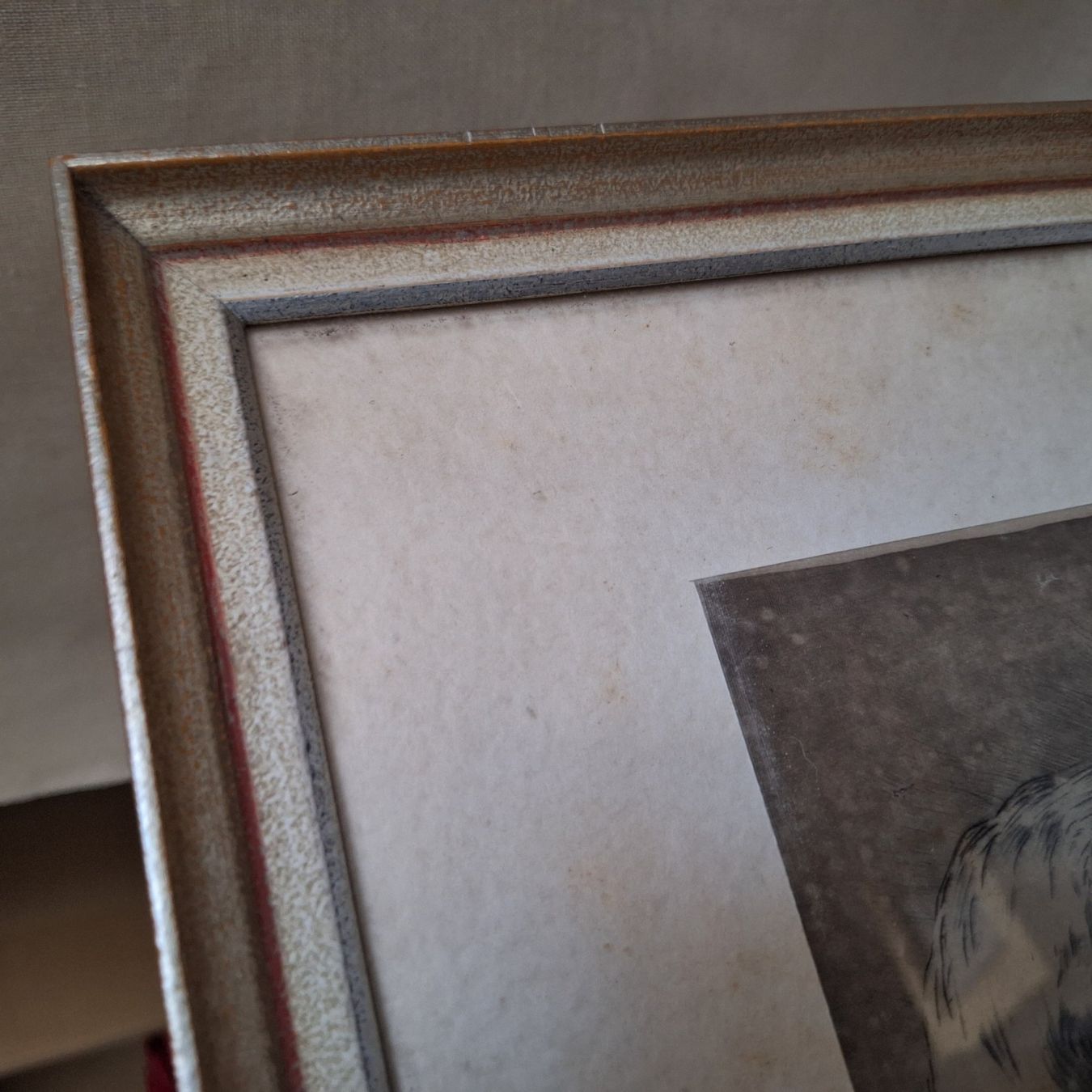 Foto & Immagini: Schönes Bild Wolfgang Amadeus Mozart – Usato da Winterthur venduto da Goldpipau 5