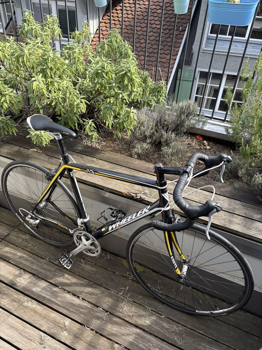 Wheeler Biciclette: Rennrad Wheeler (gebraucht) – Usato da Luzern venduto da nic_68fq 5