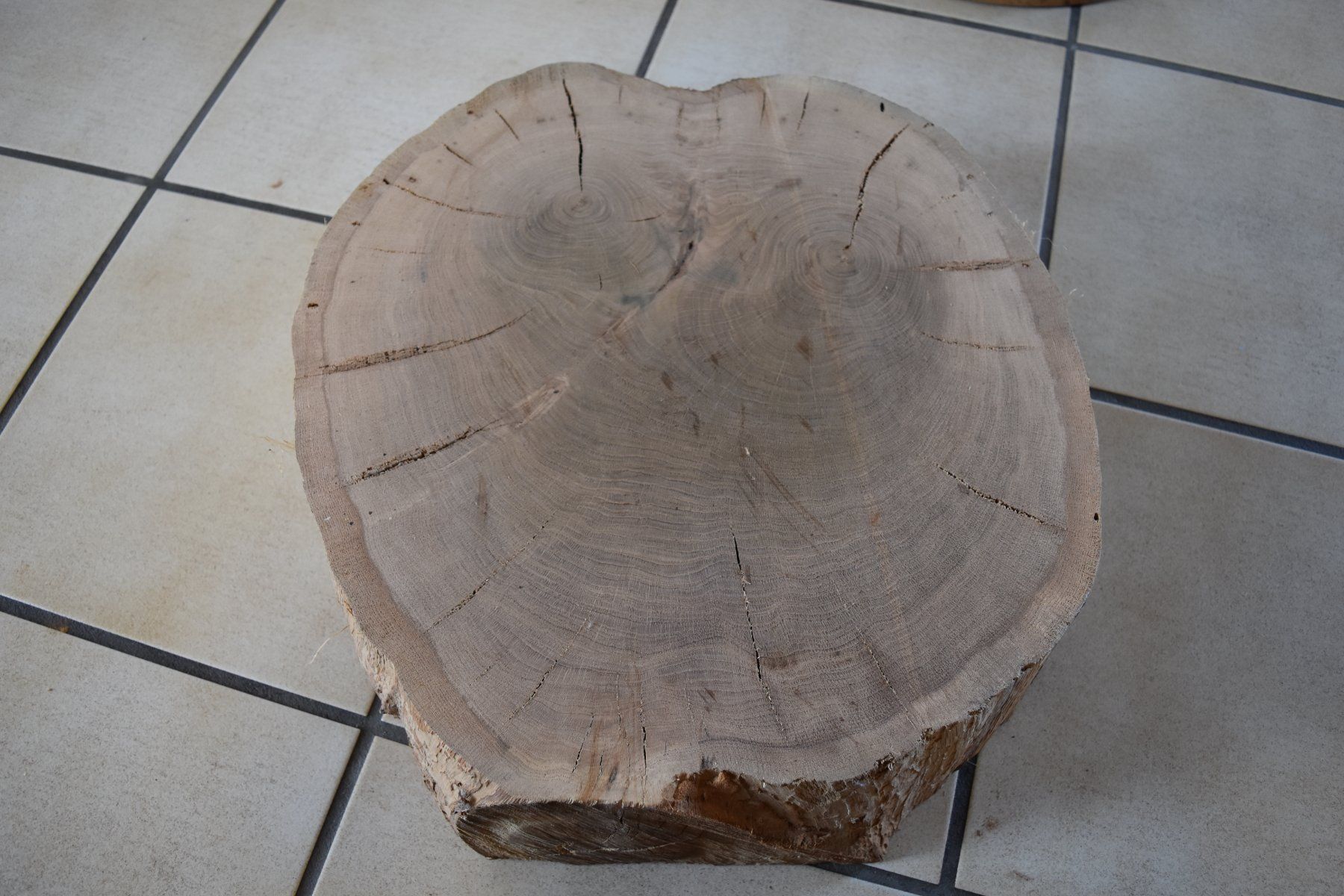 Articoli in legno: Baumscheibe Eiche – Usato da zizers venduto da beatk02