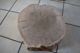 Baumscheibe Eiche