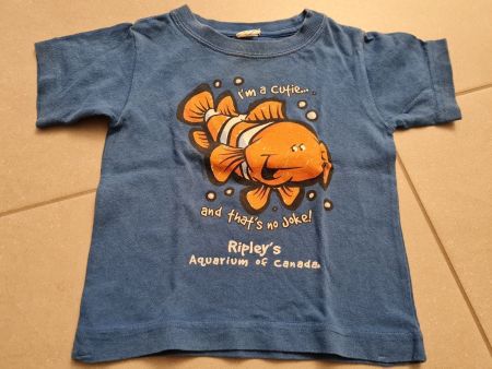 T-Shirt für Jungs, Gr. 68