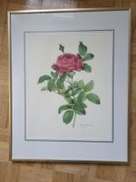 Schönes Rosenbild gerahmt
