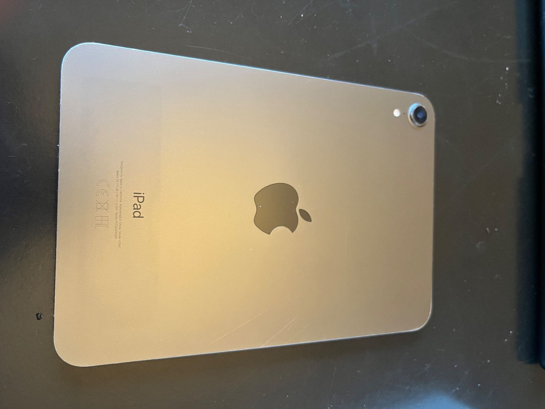 Apple Tablettes PC: iPad mini 6th Generation – D'occasion à Bern par Apodo 1