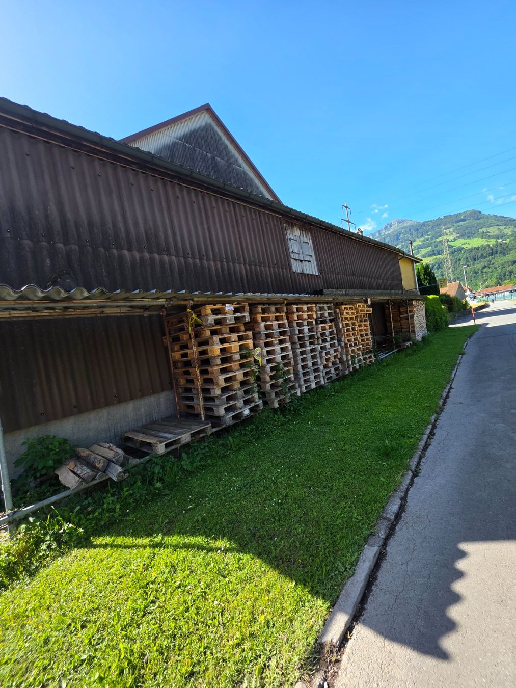 Pallets: Pro Europaletten 5.- – Usato da Flums venduto da Michigrind90
