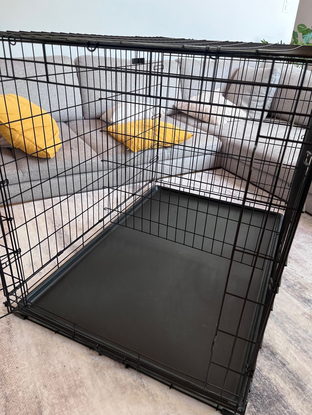 Liege- & Schlafplätze: Faltbare Hundebox (Foldable Dog Crate) – Gebraucht aus Pontresina von ste_5mly 3