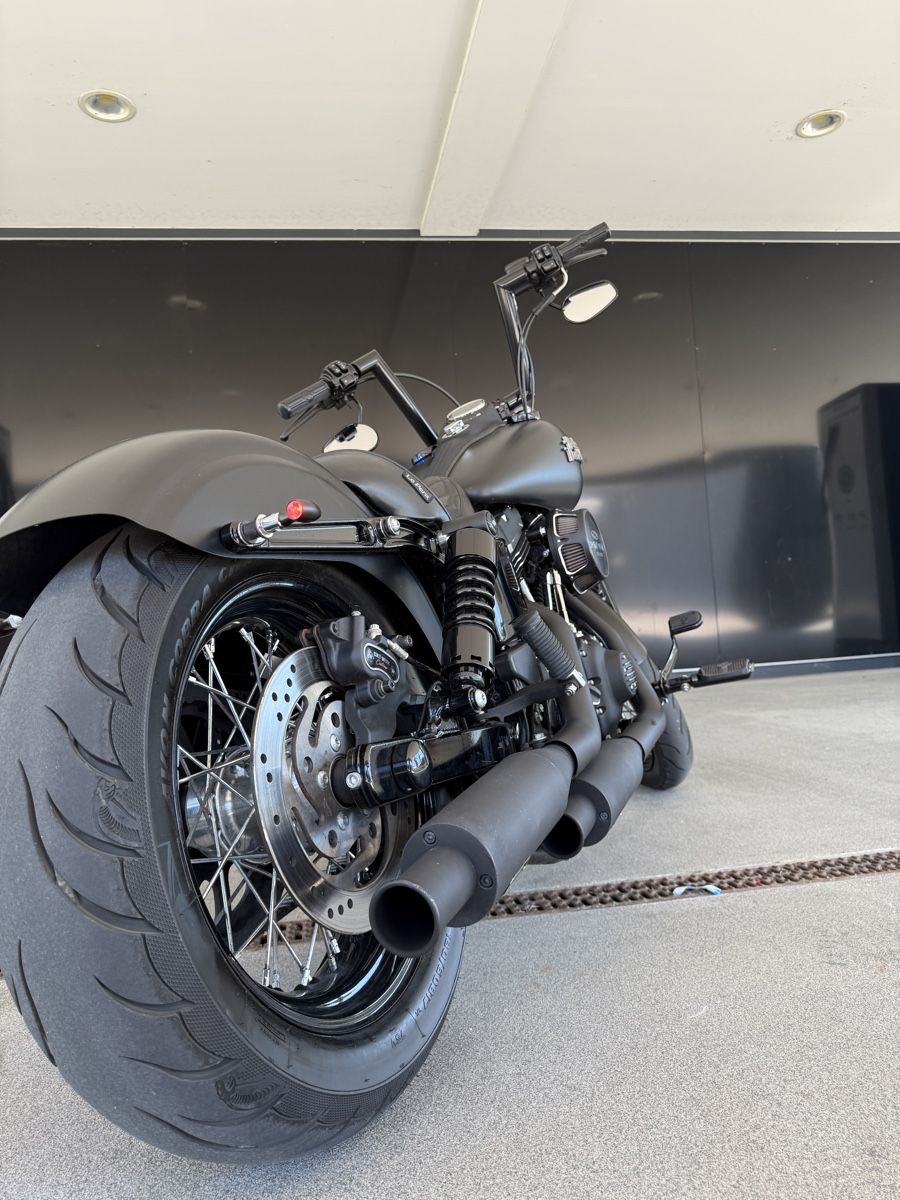 Harley-Davidson Cruisers: Harley Davidson  – D'occasion à Winterthur par alb_66lm 1