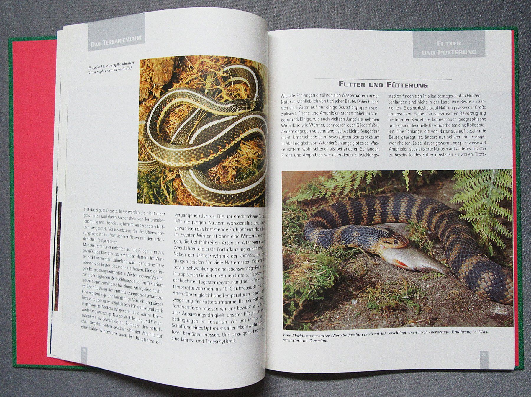 Libri: Wassernattern - Ratgeber von Dr. sc. Dieter Schmidt – Usato da Auenstein venduto da Padabimbim 5