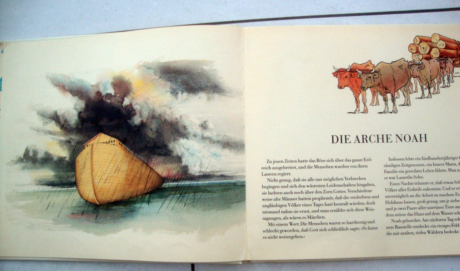 Bücher: Die Arche Noah – Gebraucht aus Wetzikon ZH von strubeli024 2