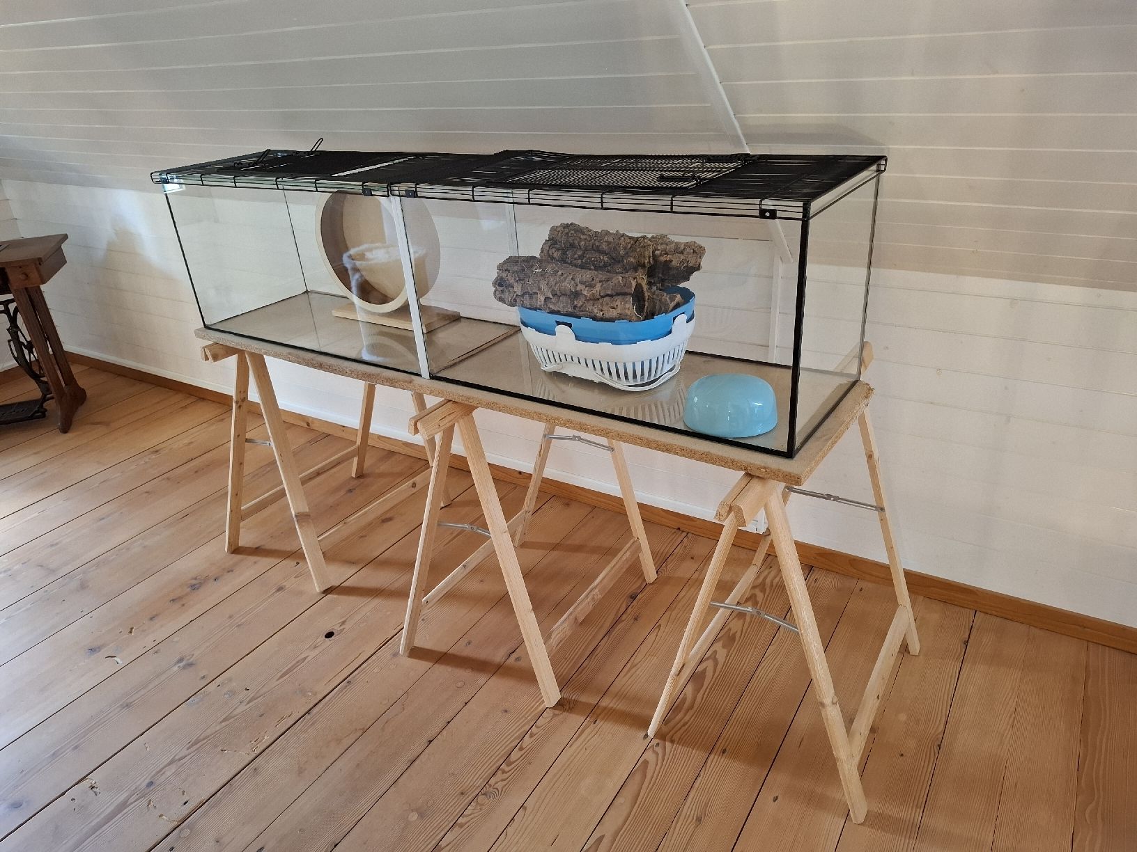 Gabbie, trasporto & Sicurezza: Hamsterkäfig / Terrarium  – Usato da Gränichen venduto da tim_2gxz