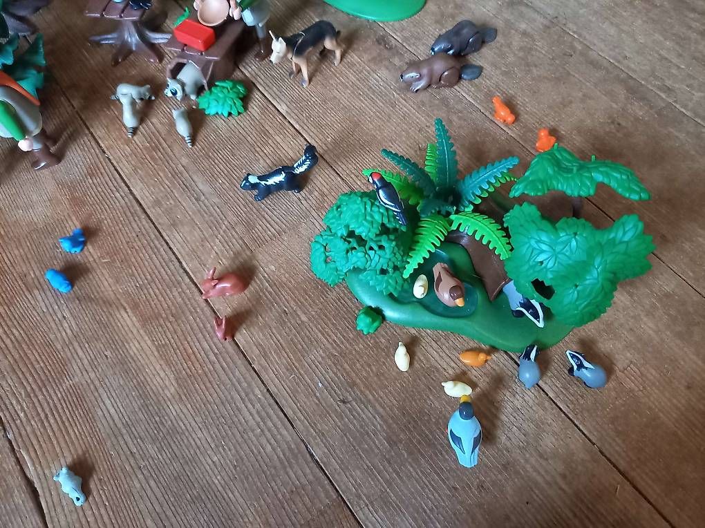 Giocattoli: Playmobil Set Wald-Expedition – Usato da Alchenstorf venduto da jae_8glt 2