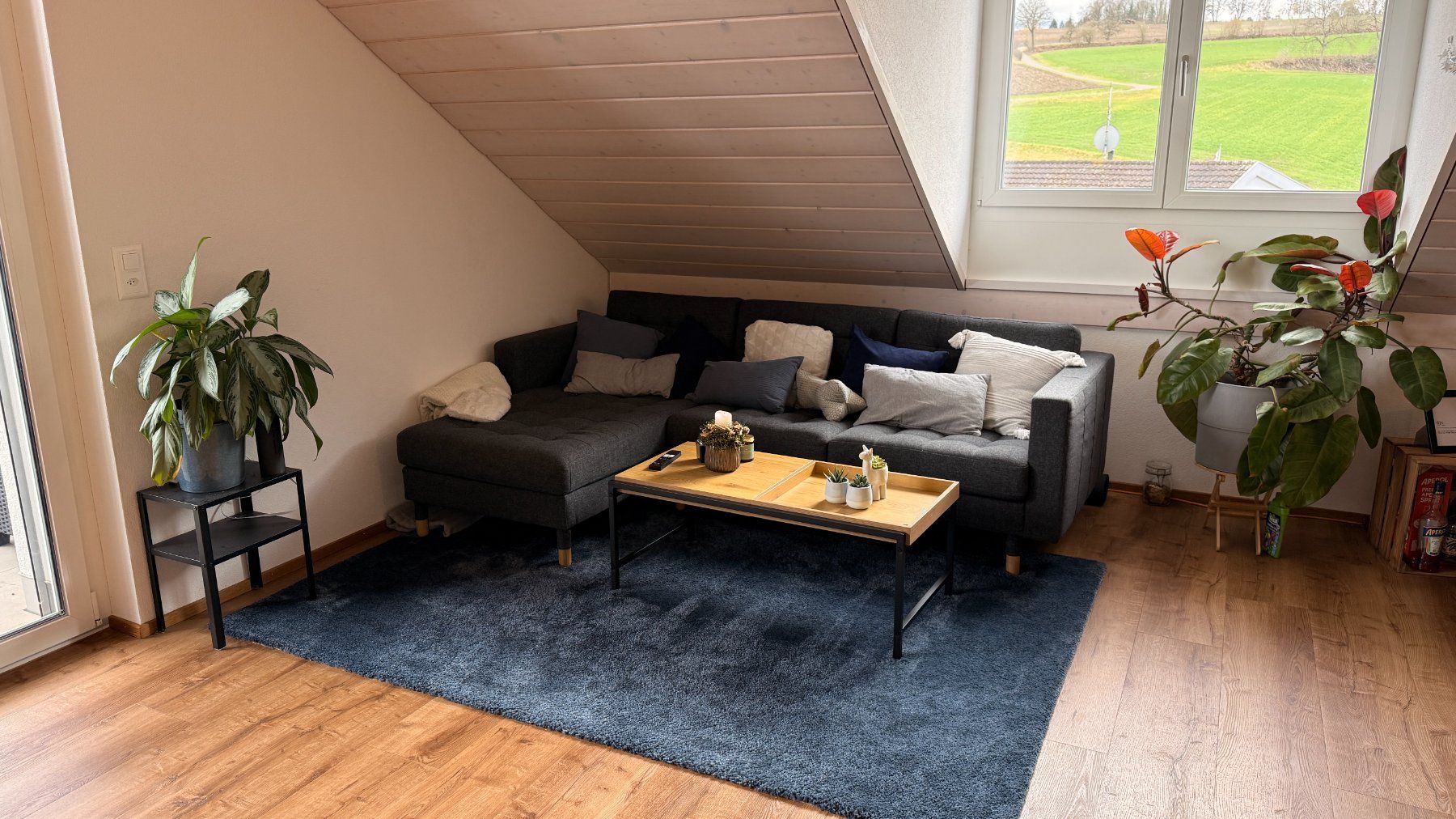 Ikea Divani: Sofa - 1 Jährig – Usato da Gachnang venduto da C4. 1