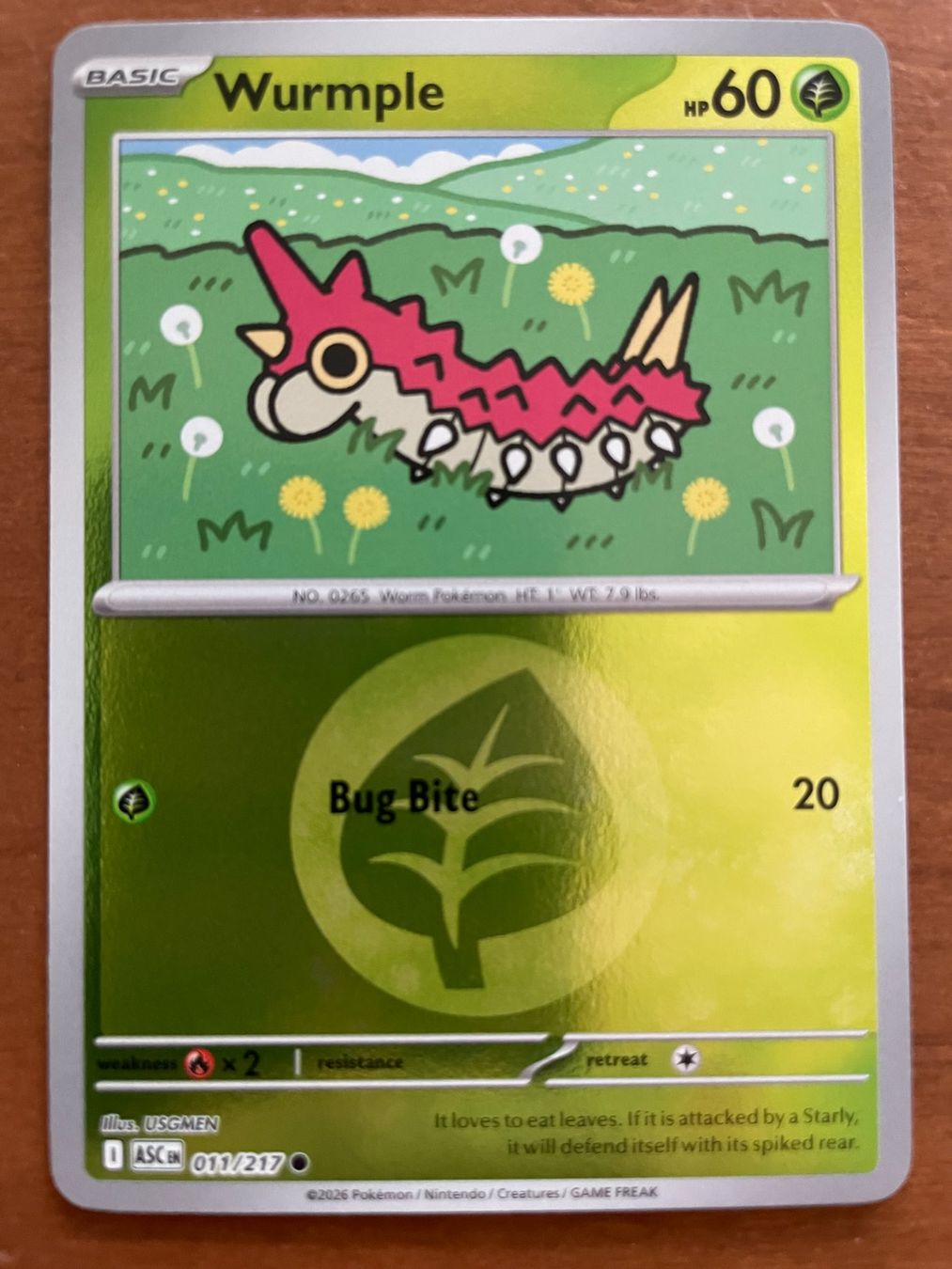 Pokémon Cartes à collectionner: Pokemon Wurmple Reverse (Versand gratis) – Neuf (Voir description) à Chur par Angerson