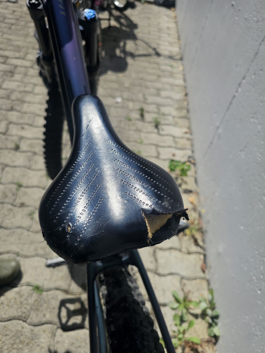 Scott Vélos: Scott Spark 700 – D'occasion à Galgenen par tiesta 5